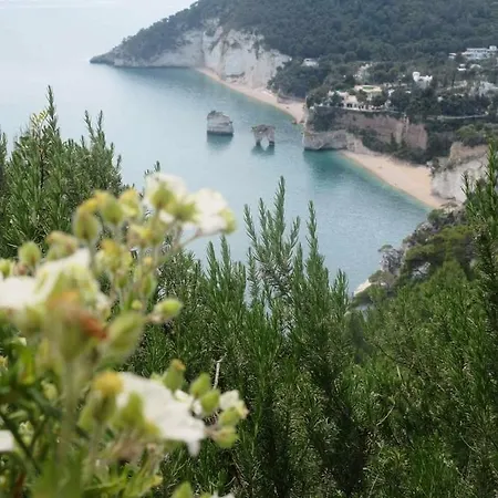 Casa Dante Отель типа 