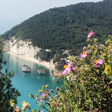 Casa Dante Маттината