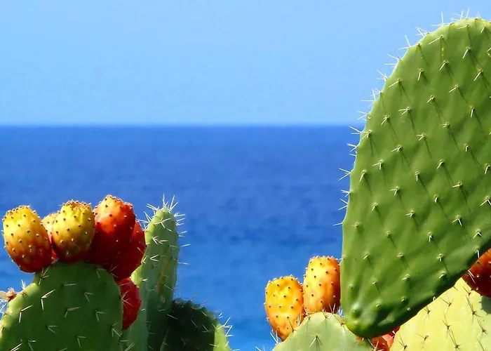 Frühstückspension Casa Dante Mattinata